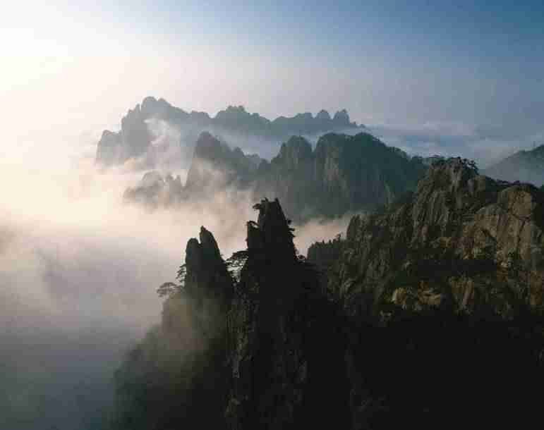 如何能直播带货（怎么才能带货直播）